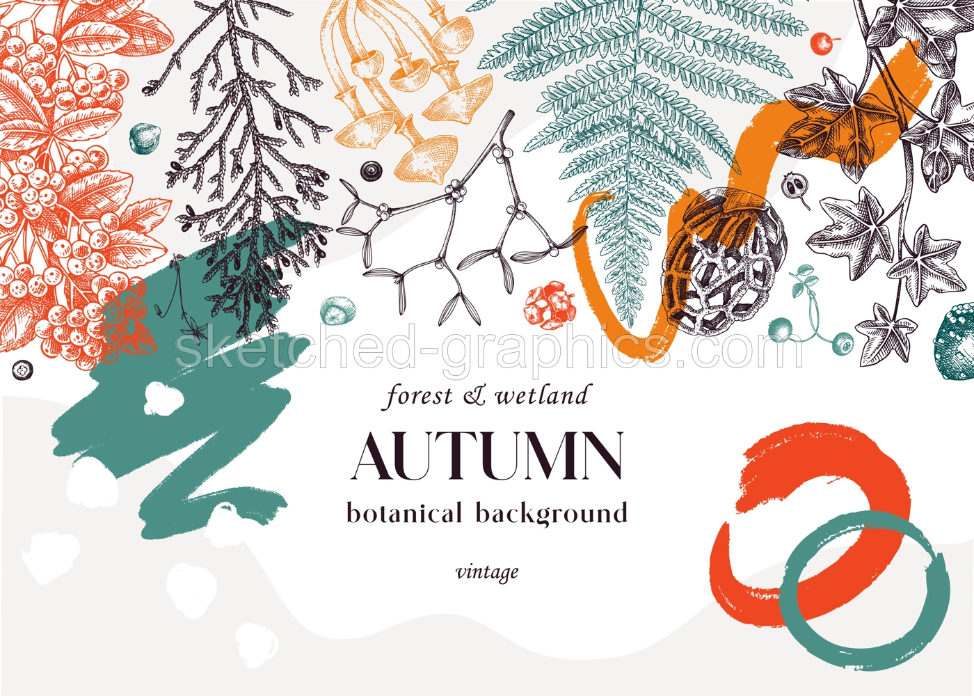 Hand drawn autumn forest background. Collage style banner with ferns, mushrooms, fall leaves and autumn plant sketches. Trendy botanical design template with abstract elements, geometric shapes Illustration